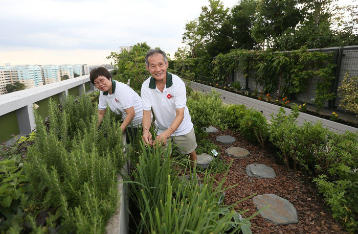 Active Ageing Hub Gardening Activities for seniors