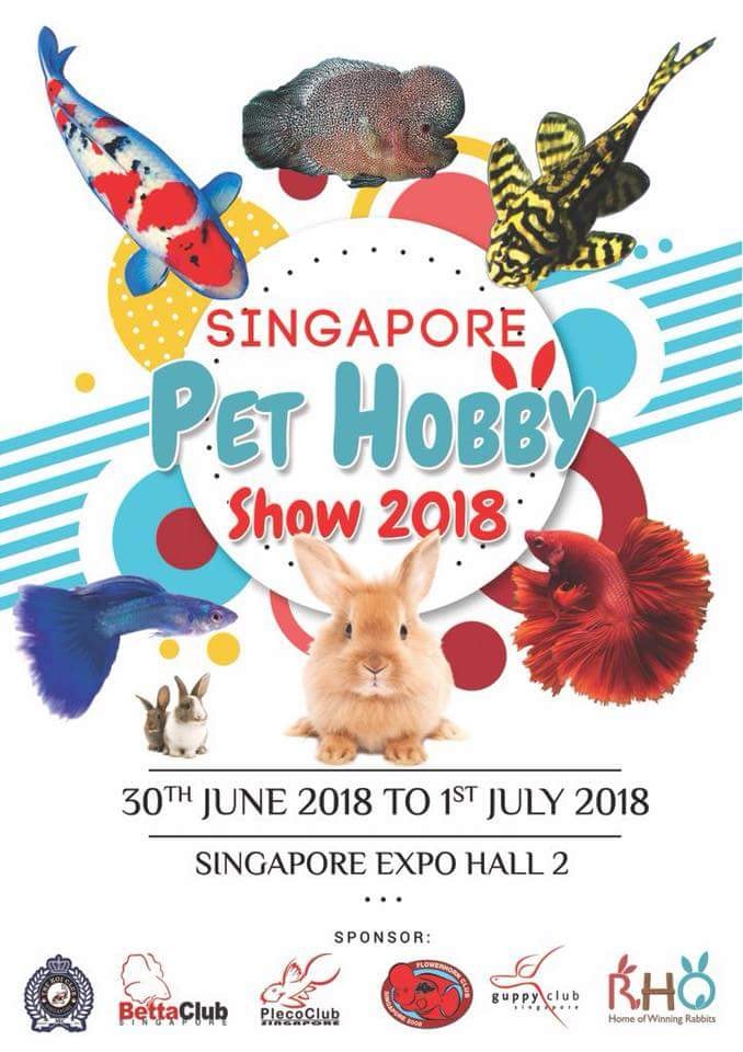 Singapore Pet Hobby Show 2018