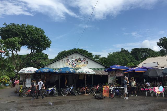 bicycle rental at pulau ubin