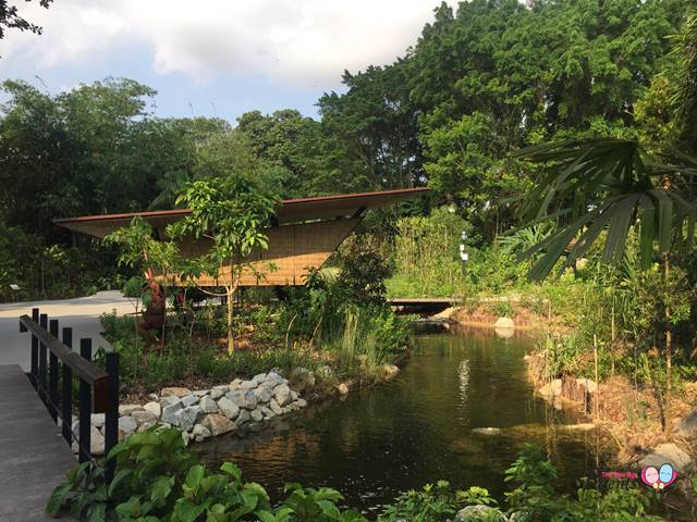 ethnobotany garden singapore pond