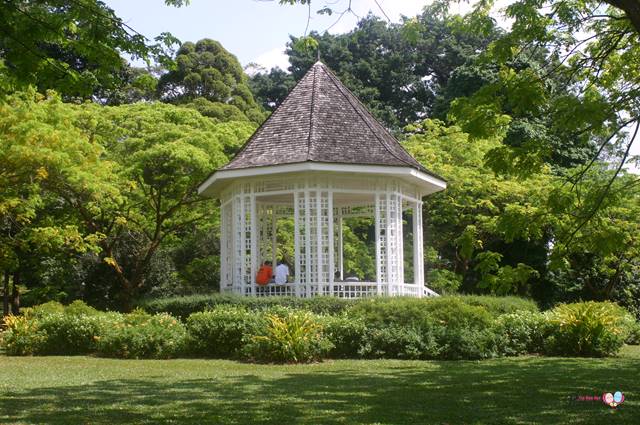 singapore botanic gardens