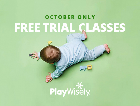 PlayWisely free trial class