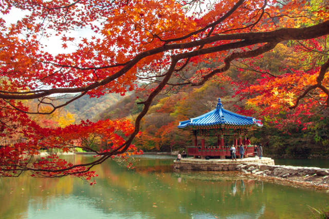 Naejangsan Mountain, South Korea