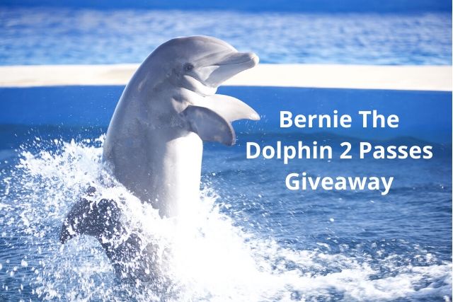 Bernie The Dolphin 2 Passes Giveaway