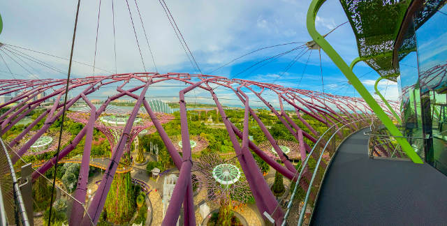 Gardens by the Bay Supertree Observatory