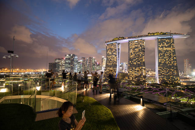 Supertree Observatory Night View