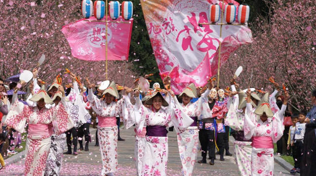 Cherry Blossom Festival