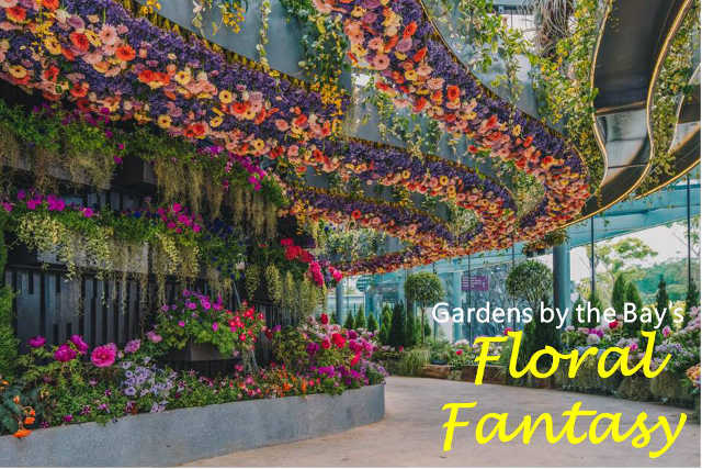 Floral Fantasy Gardens By The Bay