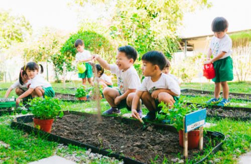 Tips To Raising An Eco-Conscious Child