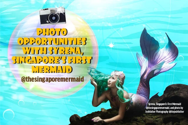 chinese swimming club open house with mermaid