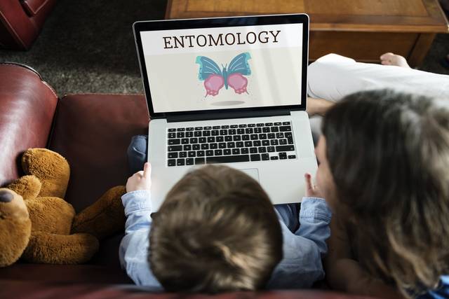 Science and entomology