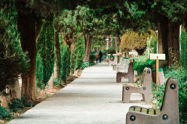 Greenery and nature