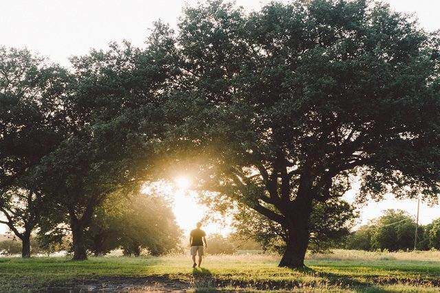 Guy taking a walk through nature