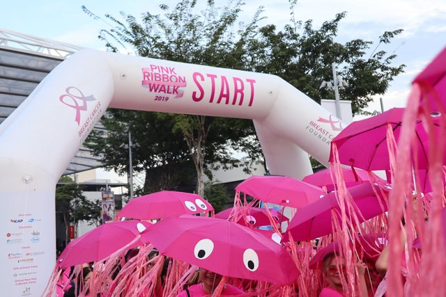 Pink Ribbon Walk 2019