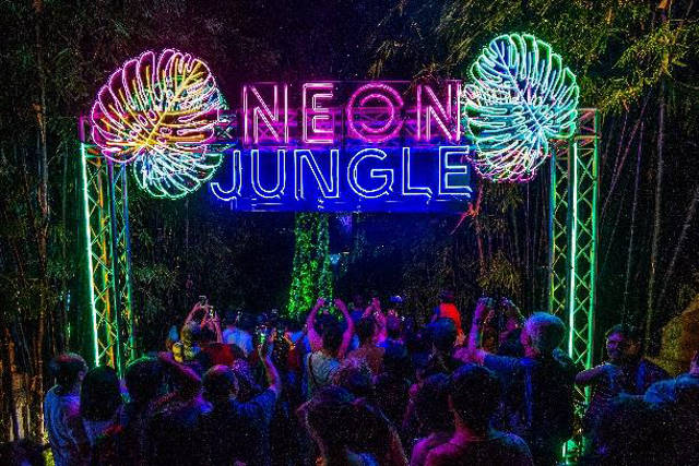 neon jungle youths celebrate gbtb