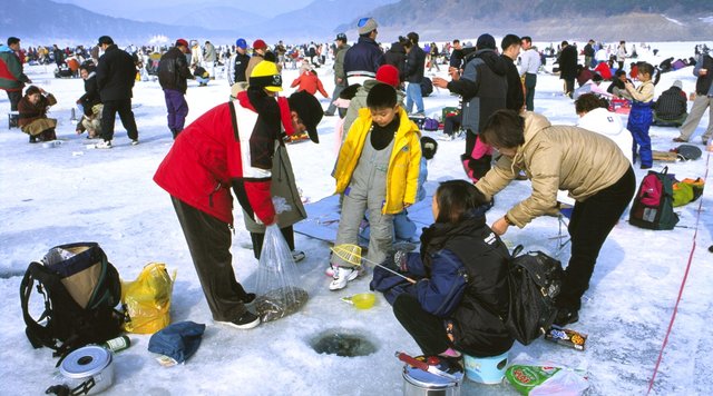 Pyeongchang Trout Festival