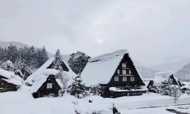 Shirakawago