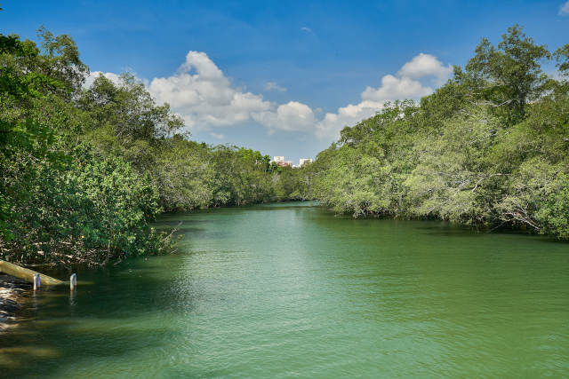 Sungei Api Api pasir ris singapore