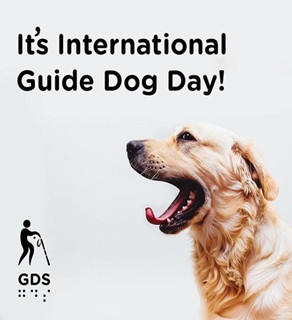 international guide dog day