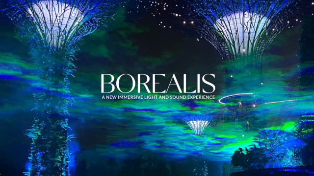 Experience the magical splendour of the Northern Lights amidst our Supertrees