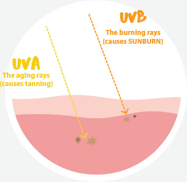 harmful uv rays