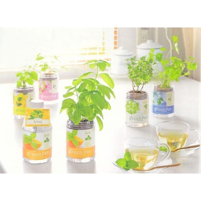 Growing Kit for Herbs, Vegetables, Plants Shopee Singapore