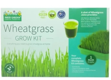 Indoor Gardening Wheatgrass Kit Shopee Singapore