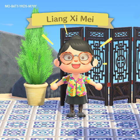 Animal Crossing Liang Xi Mei Singapore