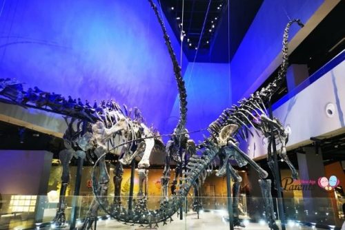 lee kong chian museum dinosaur