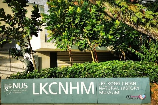 lee kong chian museum