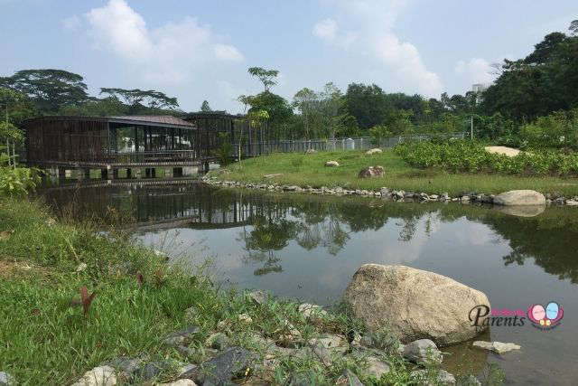 Jurong Eco Garden Freshwater Swamp Forest