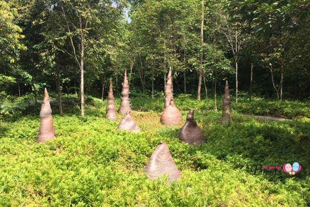 Jurong Eco Garden Sculpted Maze