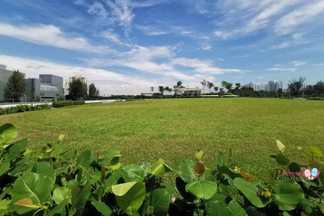 Keppel Marina East Desalination Plant Green Roof