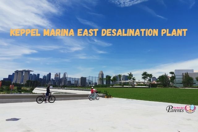 Keppel Marina East Desalination Plant