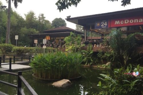 Ridout Tea Garden McDonalds