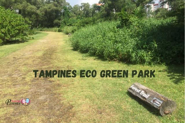 Tampines Eco Green Park Singapore