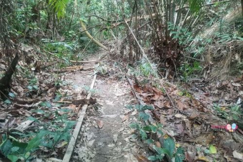 jurong railway tracks clementi forest