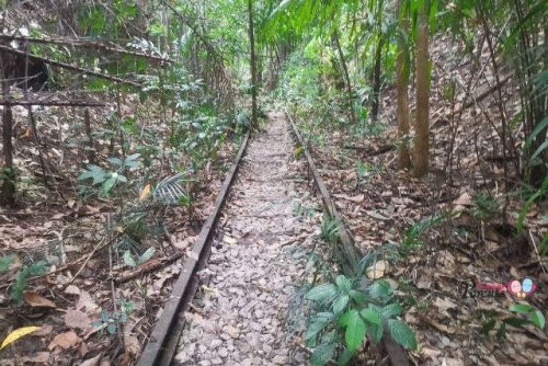 jurong railway tracks maju forest