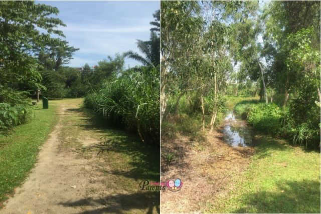 tampines eco green nature trails