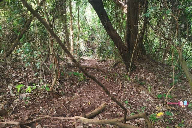 How to Get to Keppel Hill Japanese Tomb