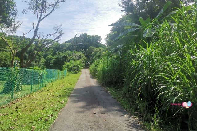 Keppel Hill Reservoir Keppel Road