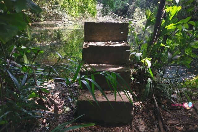 Keppel Hill Reservoir Steps to Jump