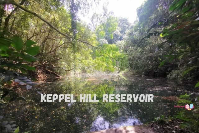 Keppel Hill Reservoir