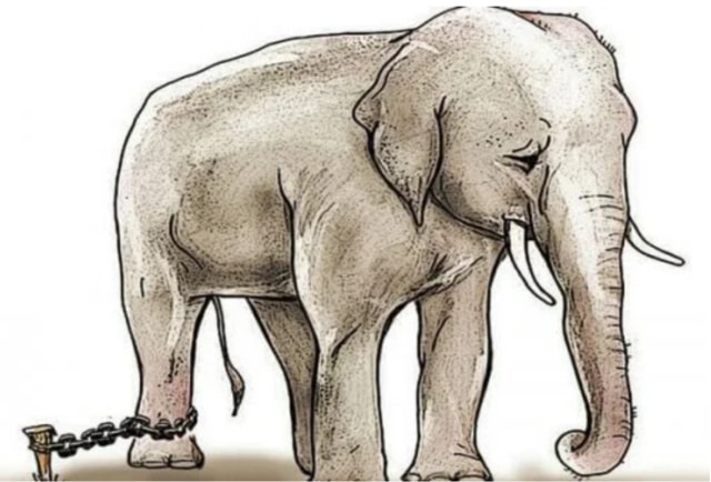 The story of the chained elephant