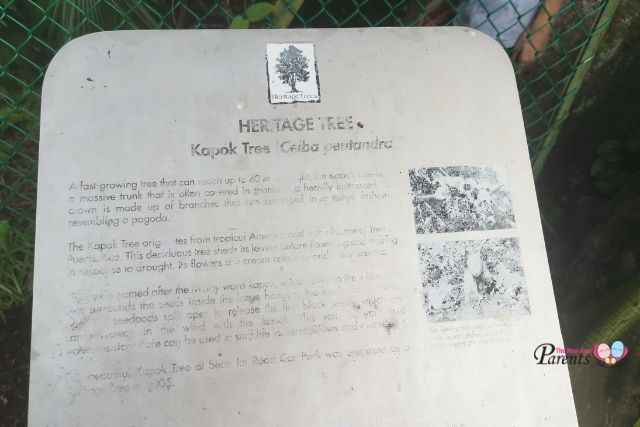 heritage tree plaque seah im bunker