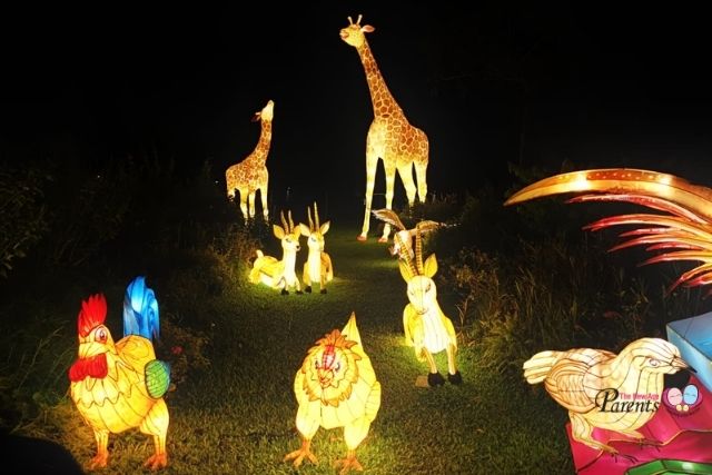 festival of lights at jurong lake gardens giraffe