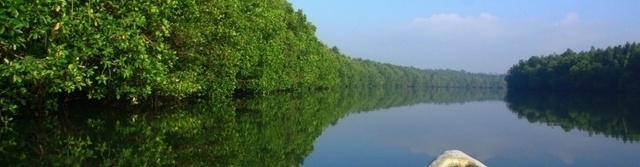 Desaru Linting Wetlands