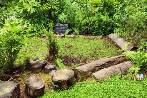 Coastal Playgrove Nature Playgarden