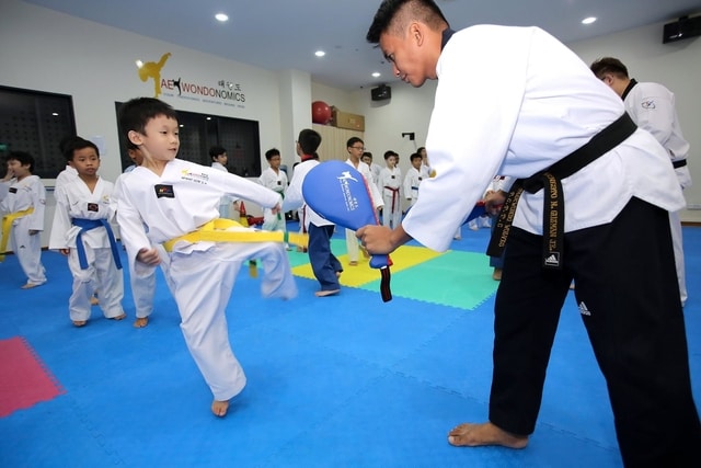 Taekwondo classes for kids singapore