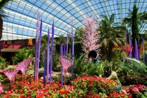 Dale Chihuly Glass in Bloom